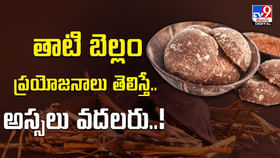 తాటి బెల్లం ప్రయోజనాలు తెలిస్తే.. అస్సలు వదలరు తాటి బెల్లం ప్రయోజనాలు తెలిస్తే.. అస్సలు వదలరు