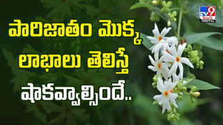నెలరోజులు నానబెట్టిన పల్లీలు తినండి..ఫలితం మీరే చూడండి!