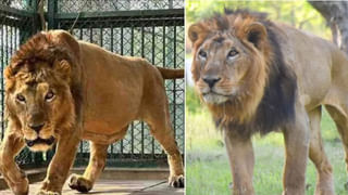 ఉగ్రవాదం అంతమే ఆపరేషన్ సింధూర్ లక్ష్యం..  ఆపరేషన్ తీరును వివరించిన భారత త్రివిధ దళాలు