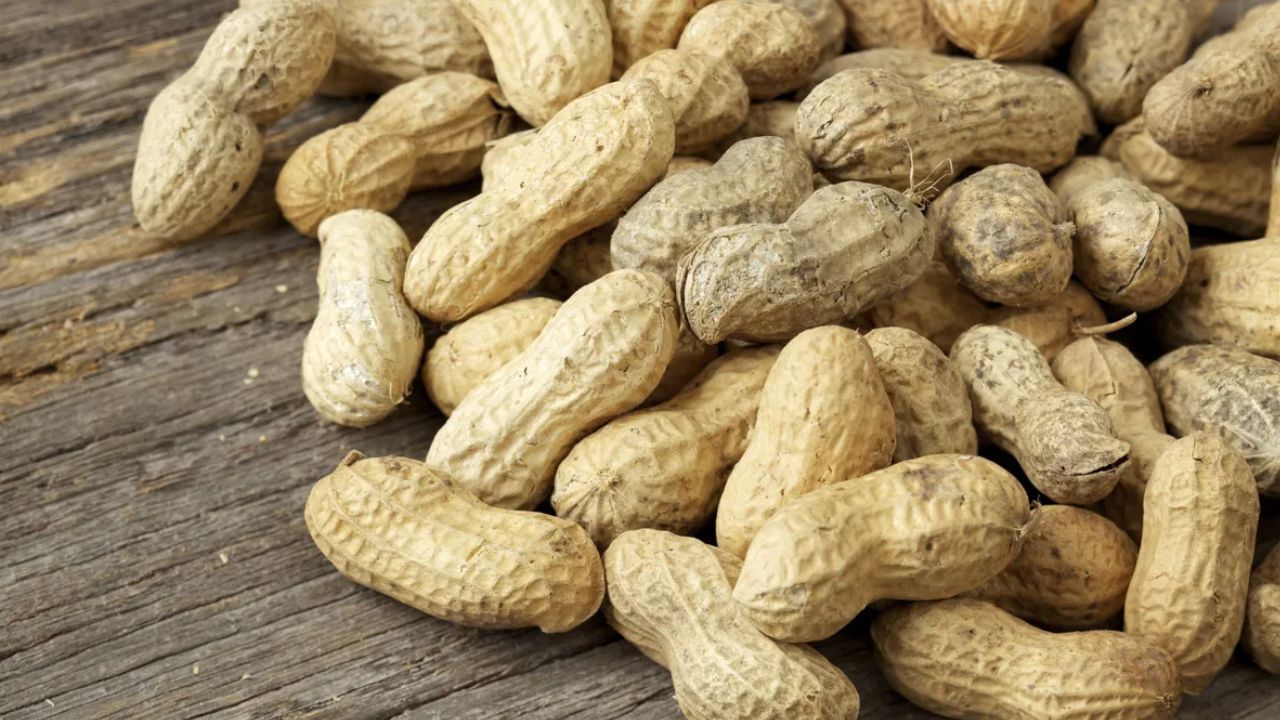 వీటిలో విటమిన్లు, ఖనిజాలు బోలెడు..! మీ బాడీకి కావాల్సినవన్నీ ఇందులో ఉంటాయి..!