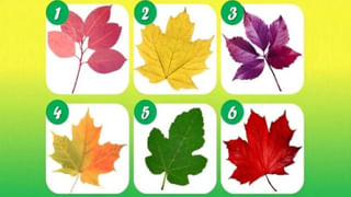 Sugar Free Rice: డయాబెటిస్ ఉన్నవారు ఏ బియ్యం తినాలి? ఈ బియ్యానికి పెట్టింది పేరు!