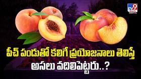పీచ్ పండుతో కలిగే ప్రయోజనాలు తెలిస్తే అసలు వదిలిపెట్టరు వీడియో పీచ్ పండుతో కలిగే ప్రయోజనాలు తెలిస్తే అసలు వదిలిపెట్టరు వీడియో