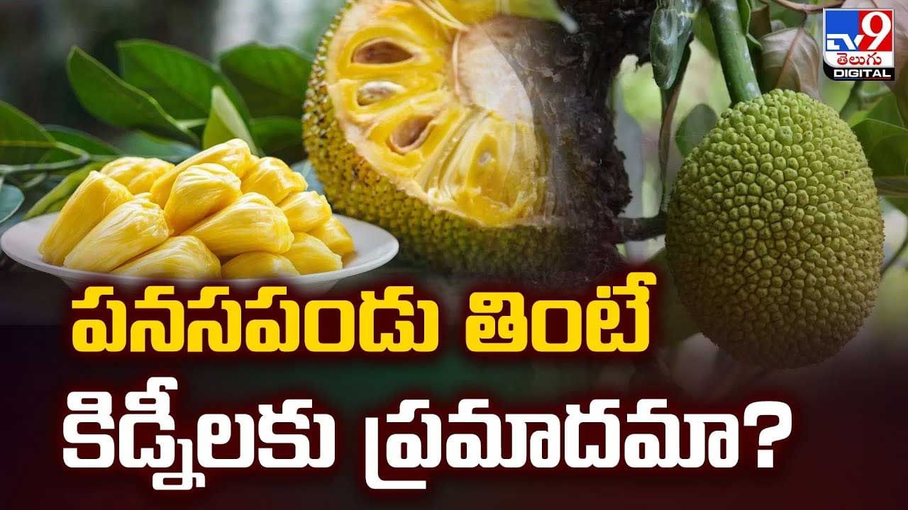పనసపండు కిడ్నీలకు ప్రమాదమా?వీడియో పనసపండు కిడ్నీలకు ప్రమాదమా?వీడియో