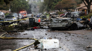 Viral Video: నేరుగా మొక్కలతో ముచ్చట పెట్టొచ్చు…! డబ్లిన్లోని ట్రినిటి కాలేజ్ పరిశోధకుల విజయం