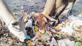 Patanjali: ఆయుర్వేద పద్ధతిలో జుట్టు రాలే సమస్యకు చెక్.. పరిశోధనలో కనుగొన్న పతంజలి!