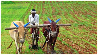 PM Kisan: రైతులకు గుడ్‌న్యూస్‌.. పీఎం కిసాన్‌ 20వ విడత వచ్చేది అప్పుడే..!