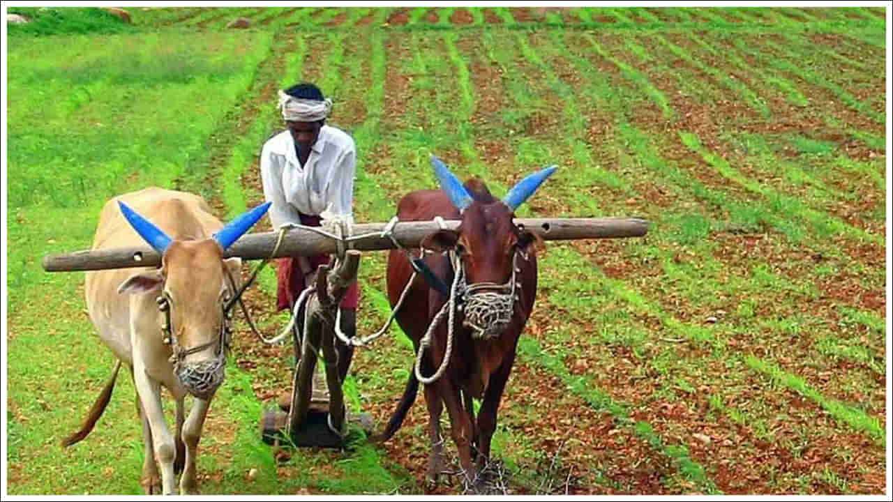 PM Kisan: రైతులకు గుడ్న్యూస్.. పీఎం కిసాన్ 20వ విడత వచ్చేది అప్పుడే..!
