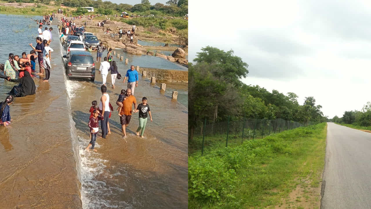 Pocharam Wildlife Sanctuary-ఒకప్పటి నిజాం రాజు షికార్ ఘర్... ఇప్పటి టూరిస్ట్ స్పాట్. ఉదయం నుంచి రాత్రి వరకు పని ఒత్తిడితో సతమతమయ్యే వాళ్లకు మానసిక ప్రశాంతత ఇచ్చే ప్రదేశం పోచారం వైల్డ్ లైఫ్ శాంక్చురీ. ఇది మెదక్, కామారెడ్డి జిల్లాల సరిహద్దు ప్రాంతంలో ఉంది. ఇక్కడ కృష్ణ జింకల గుంపులతోపాటు నీల్గాయ్, సాంబార్, నెమళ్లు, కొండగొర్రెలు, ముళ్లపందులు, కుందేళ్లను చూడొచ్చు. వీకెండ్స్లో పిల్లలతో కాసేపు హాయిగా గడపాలి అనుకునేవాళ్లకు పోచారం వైల్డ్ లైఫ్ శాంక్చురీ కేరాఫ్అడ్రస్. హైదరాబాద్ కు సుమారు 110 కిలోమీటర్ల దూరంలో నిజామాబాద్ జిల్లాలో ఈ ప్రదేశం ఉంది.