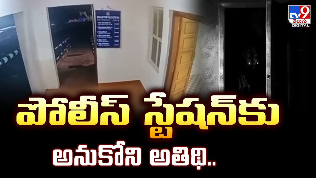 పోలీస్‌ స్టేషన్‌కు అనుకోని అతిథి.. వీడియో
