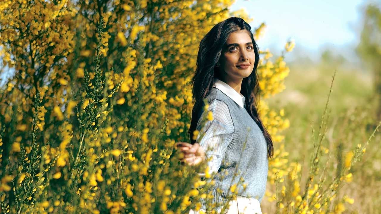 అందాల బ్యూటీ పూజా హెగ్దే గురించి ప్రత్యేకంగా చెప్పాల్సిన పని లేదు. ఒక లైలా కోసం సినిమాతో వెండితెరకు పరిచయమైన ఈ అమ్మడు అనతికాలంలోనే స్టార్ హీరోయిన్‌గా టాలీవుడ్ లో ఓ వెలుగు వెలిగింది. మొదట్లో చేసిన సినిమాలన్నీ ఫ్లాప్ అయిపోయినా, ఈ అమ్మడుకు మాత్రం క్రేజ్ తగ్గలేదు.