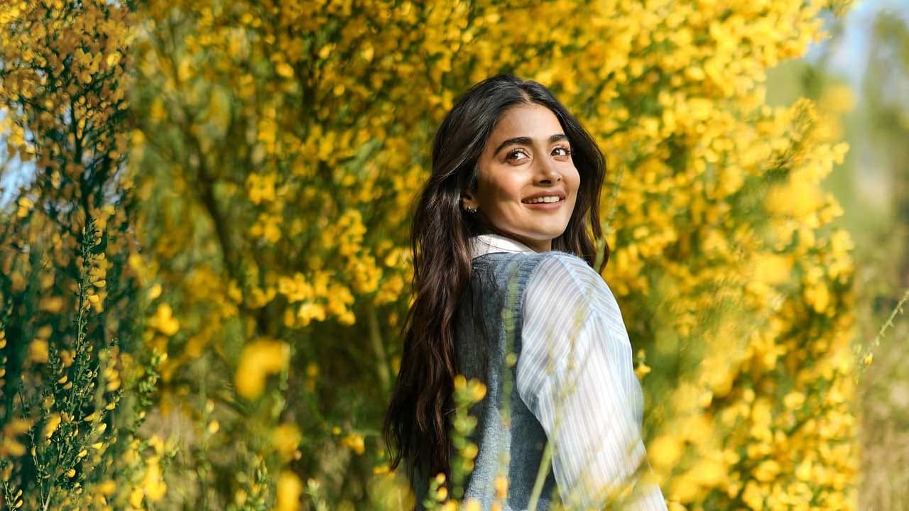 తెలుగు, కన్నడ,తమిళ, హిందీలో వరసగా సినిమాలు చేస్తూ స్టార్ హీరోయిన్‌గా మారిపోయింది. ఒకప్పుడు ఈ అమ్మడు మరో సినిమా సైన్ చేయడానికి డేట్సే కుదరకపోయేవి కానీ ఇప్పుడు ఈ బ్యూటీకి ఆఫర్స్ చాలా తగ్గాయి. చాలా రోజులుగా టాలీవుడ్‌కు దూరమైంది ఈ అమ్మడు.