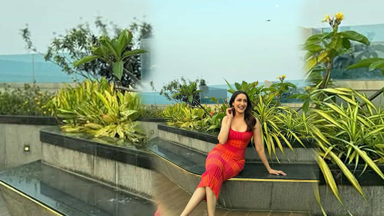 ఇక ఎప్పుడూ సోషల్ మీడియాలో యాక్టివ్గా ఉండే ఈ ముద్దుగుమ్మ. తాజాగా మరోసారి ఆరెంజ్ కలర్ డ్రెస్లో తన అందాలతో నెటిజన్స్కు చెమటలు పట్టించింది. ఆరెంజ్ కలర్ స్కట్లో కుర్రకారును తన వైపు లాక్కుంది. అంతే కాకుండా చెట్లు, సన్ రైజ్ ఎంజాయ్ చేస్తూ ఫొటోలకు ఫోజులిచ్చింది.