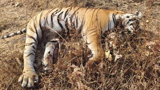 భారత్‌తో యుద్ధం.. చైనా పీస్‌లపై ఆధారపడుతున్న పాకిస్థాన్‌! అసలు వాళ్ల బలమేంటి? పూర్తి వివరాలు..