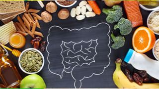 Coriander Benefits: కొత్తిమీర కాడలు షుగర్ పేషెంట్స్ కు ఓ వరం.. ఎలా ఉపయోగించాలంటే..