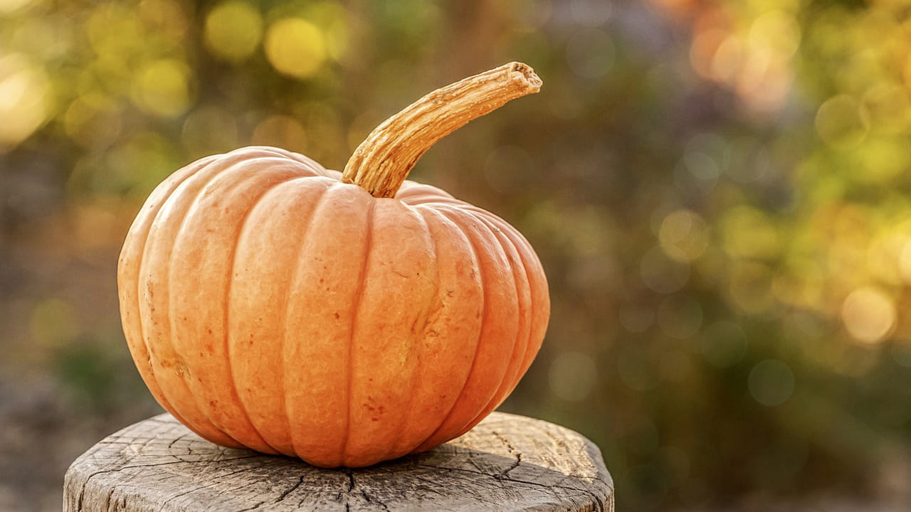 గుమ్మడికాయలో యాంటీ ఆక్సిడెంట్లు, విటమిన్లు ఎక్కువగా ఉంటాయి. ఇవి ఫ్రీ రాడికల్స్‌ను తొలగించడంలో సాయపడతాయి. గుమ్మడికాయలో విటమిన్ సి ఎక్కువగా ఉంటుంది. ఇమ్యూనిటీని పెంచడంలో సహాయపడుతుంది. ఇన్ఫెక్షన్స్ నుంచి దూరంగా ఉంచుతుంది. గుమ్మడికాయ తింటే చర్మం ముడతలు తగ్గుతాయి. 