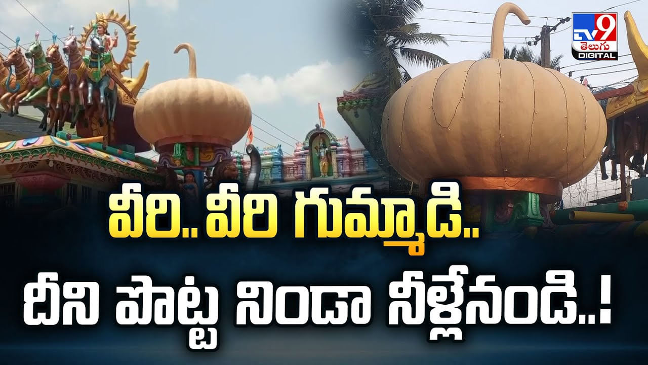 వీరి.. వీరి గుమ్మాడి.. దీని పొట్ట నిండా నీళ్లేనండి