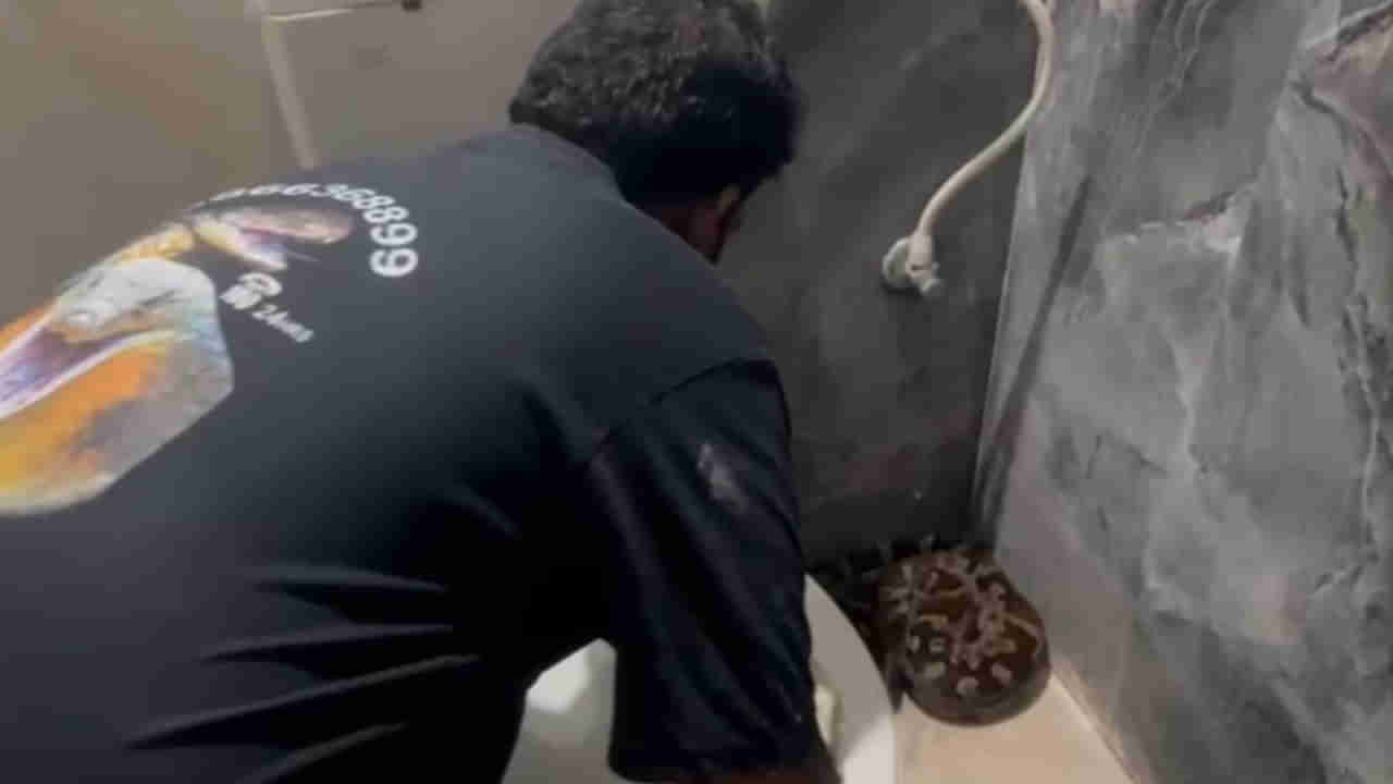 Vizag: వాష్ రూమ్కి వెళ్దామని డోర్ ఓపెన్ చేసిన వాచ్మెన్.. దెబ్బకు వెన్నులో వణుకు