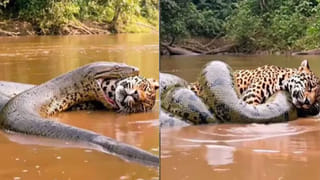 Tech Tips: రాత్రిపూట మొబైల్‌ను దిండు దగ్గర పెట్టుకుని నిద్రపోతే ప్రమాదకరమా?