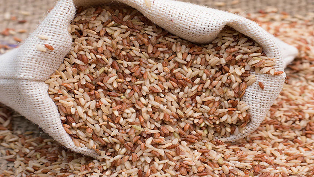 Sugar Free Rice: డయాబెటిస్ ఉన్నవారు ఏ బియ్యం తినాలి? ఈ బియ్యానికి పెట్టింది పేరు!