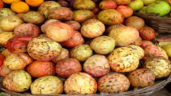 Magical Fruit: సైంటిస్టులనే ఆశ్చర్యపరిచిన రామ ఫలం.. దీంతో ఎంత పెద్ద రోగమైనా పారిపోవాల్సిందే..