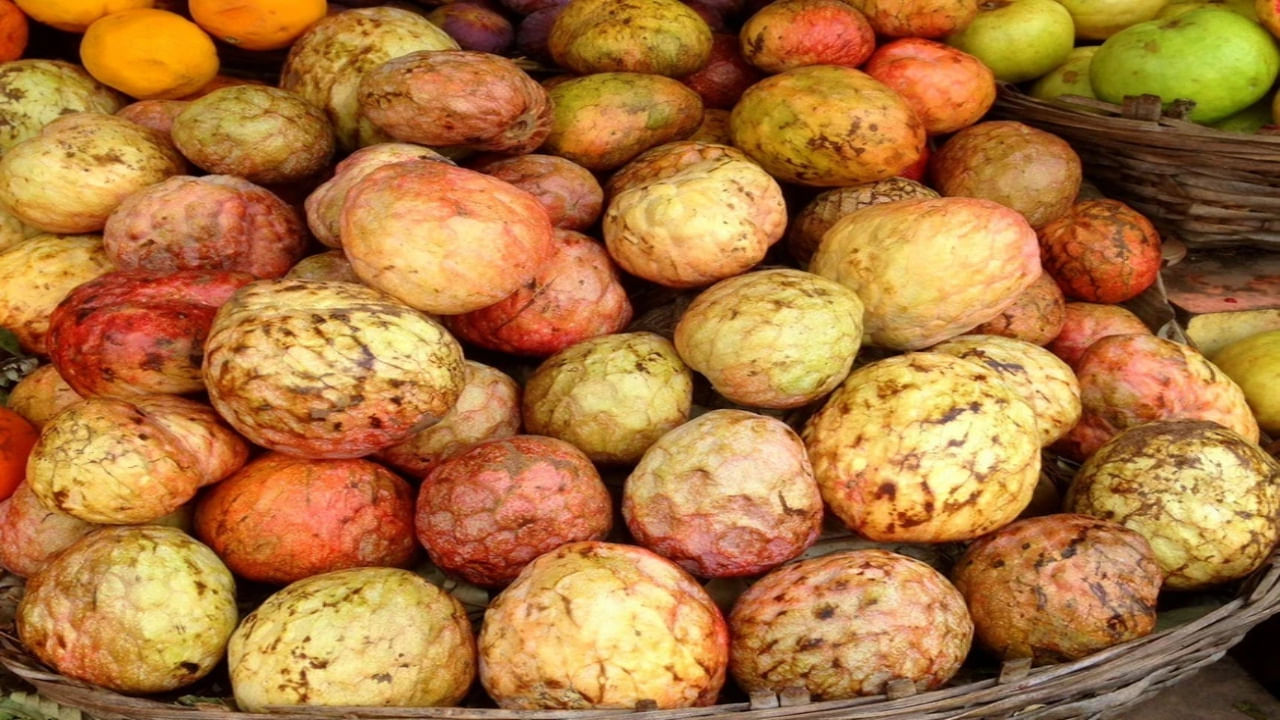 Magical Fruit: సైంటిస్టులనే ఆశ్చర్యపరిచిన రామ ఫలం.. దీంతో ఎంత పెద్ద రోగమైనా పారిపోవాల్సిందే..