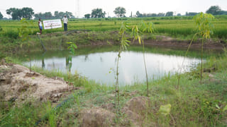 Viral Video: నీటి అడుగున తేలియాడుతున్న వింత ఆకారం.. అటుగా అనకొండలు.. చూస్తే మైండ్ బ్లాంక్