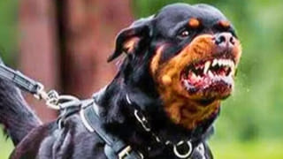 భారత్‌కు పాక్‌ పౌరుడి మద్దతు..! ఆపరేషన్‌ సిందూర్‌ చేపట్టడంలో న్యాయం ఉందంటూ షాకింగ్‌ వీడియో రిలీజ్‌