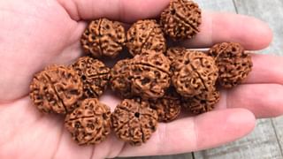 Apara Ekadashi: అపర ఏకాదశి రోజున లక్ష్మి దేవి అనుగ్రహం కోసం తులసిని ఇలా పూజించండి..