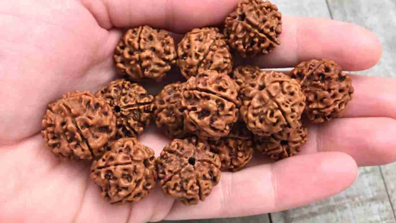 రుద్రాక్ష ధరించడం వల్ల కలిగే అద్భుత ఫలితాల గురించి మీకు తెలుసా..?