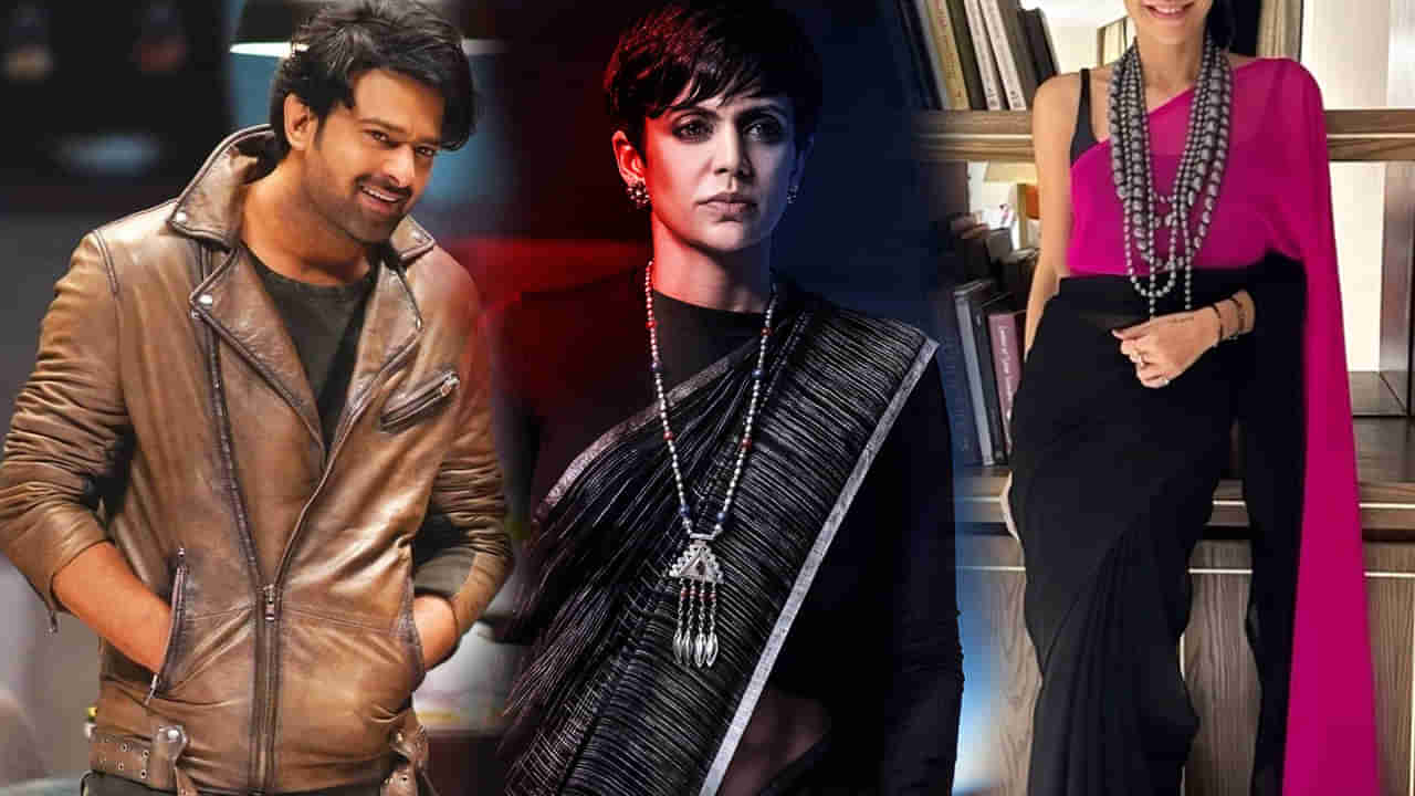 Saaho: ప్రభాస్ సినిమాలో కనిపించిన ఈ నటి గుర్తుందా.? అబ్బో ఆమె బ్యాగ్రౌండ్ మాములుగా లేదుగా..!!