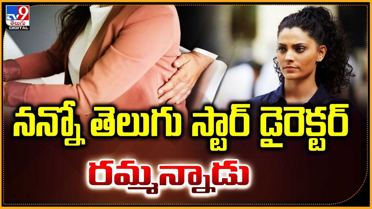 నన్నో తెలుగు స్టార్ డైరెక్టర్‌ రమ్మన్నాడు