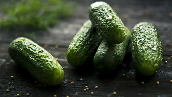 Cucumber: కీరదోస పేరు వింటేనే హడలెత్తి పోతున్న అమెరికన్లు.. నిషేధించిన సర్కార్! ఎందుకంటే..