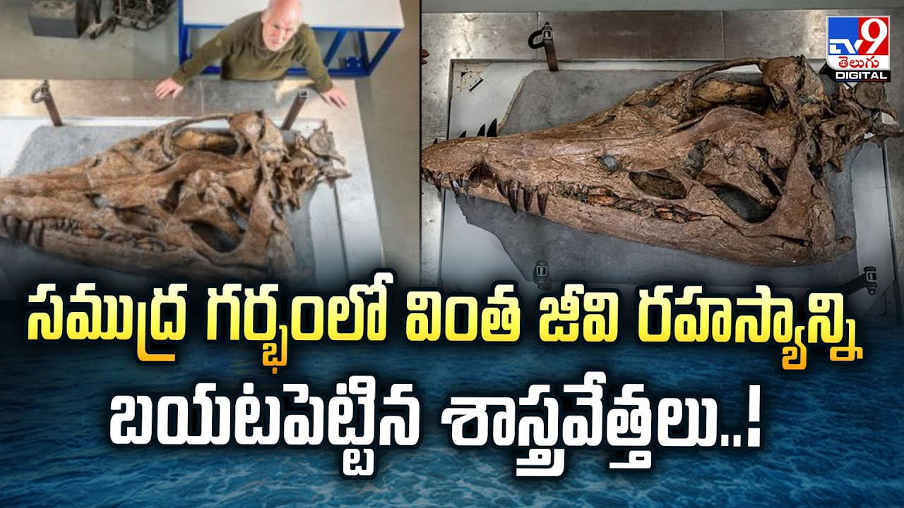 సముద్ర గర్భంలో వింత జీవి రహస్యాన్ని బయటపెట్టిన శాస్త్రవేత్తలు