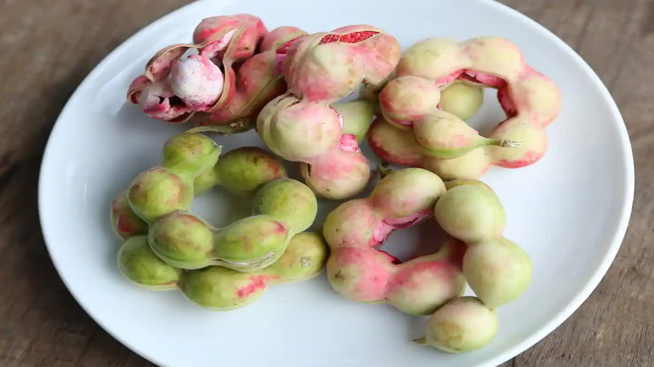 సీమ చింతకాయలో ఉండే గుణాలు డయేరియా సమస్యను తగ్గిస్తాయి. తరచూ సీమ చింతకాయలను తీసుకోవడం వల్ల వృద్ధాప్యాన్ని దూరం చేస్తుంది. చర్మంపై నల్లటి మచ్చలను తొలగించి చర్మాన్ని కాంతివంతంగా చేస్తుంది. తరచూ సిమ చింతకాయలను తీసుకోవడం వల్ల జుట్టు రాలడం తగ్గుతుంది. వీటి విత్తనాల నుంచి తీసిన నూనెను సబ్బుల తయారీలో వాడతారు.