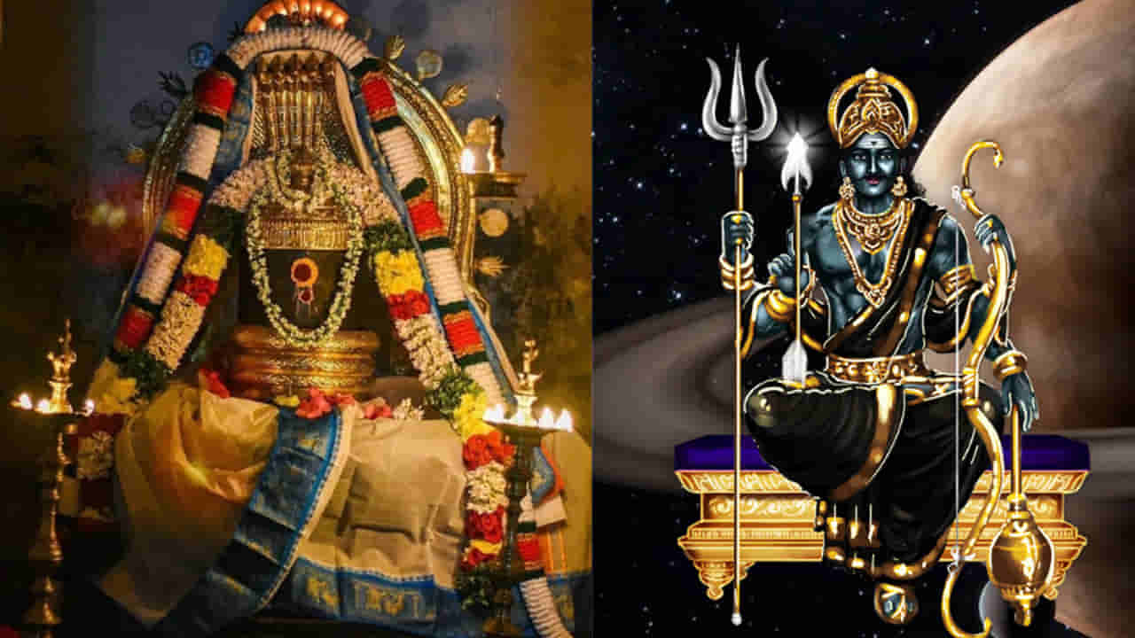 ఏలి నాటి శని, శని ధైయ్య ప్రభావంతో ఇబ్బంది పడుతున్నారా.. ఈ రోజు రావి చెట్టుని ఇలా పూజించండి.. శనీశ్వరుడి అనుగ్రహం మీ సొంతం..