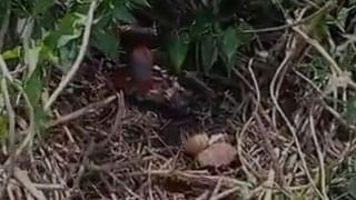 Telangana: 25 ఏళ్లకు పూర్వ విద్యార్థుల ఆత్మీయ సమ్మేళనం.. భావోద్వేగ సన్నివేశాలు