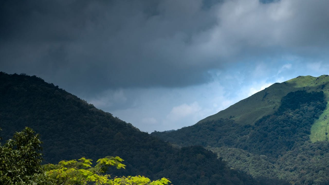 షోలా అడవులు – తమిళనాడు: నీలగిరి బయోస్పియర్ రిజర్వ్లో భాగమైన ఈ అడవులు పగటిపూట అద్భుతంగా, రాత్రిపూట భయంకరంగా ఉంటాయి. పాడుబడిన బ్రిటిష్ బంగ్లాల దగ్గర వెంటాడే కేకలు, పొగమంచులో అదృశ్యమవుతున్న తెల్లటి బొమ్మలు భయాన్ని కలిస్తాయి.