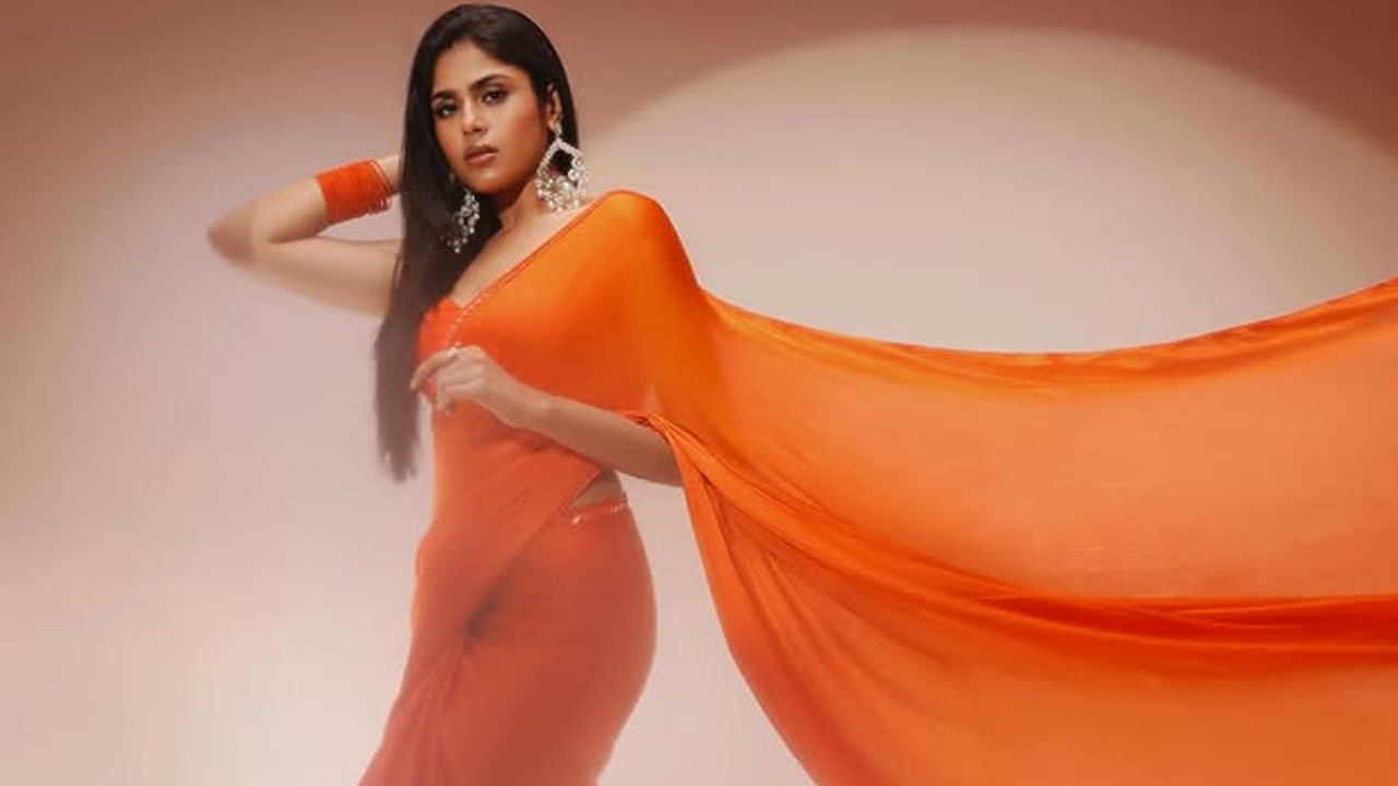 గత ఏడాది అల్లరి నరేష్ సరసన ఆ ఒక్కటి అడక్కు అనే టాలీవుడ్ రొమాంటిక్ కామెడీ చిత్రంతో నటించింది. దీంతో పాటు కామెడీ థిల్లర్ మత్తు వదలరా 2 సినిమా ఇన్స్పెక్టర్ నిధి పాత్రలో ఆకట్టుకుంది. అలాగే ప్రభాస్ కల్కి సినిమా స్పెషల్ సాంగ్తో మెప్పించింది.
