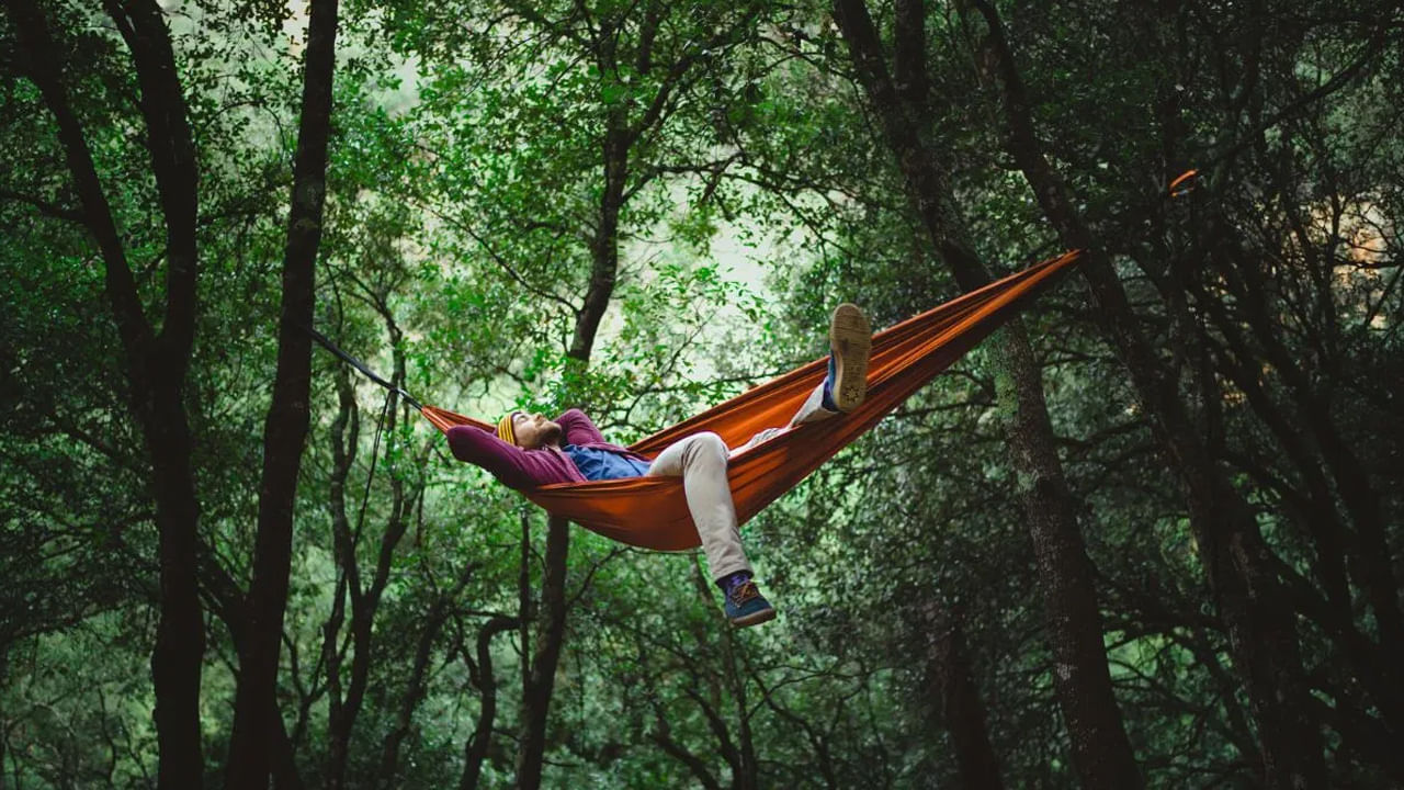 Sleep Tourism: ట్రెండింగ్ లో స్లీపింగ్ టూరిజం.. మన దేశంలో పర్యటించడానికి బెస్ట్ ప్లేసెస్ ఏమిటంటే..