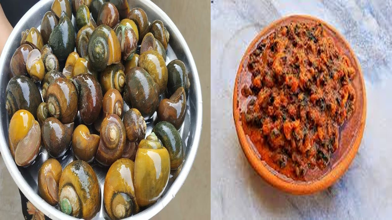 Snail Curry: చికెన్, మటన్ మించిన టేస్ట్ నత్త కూర సొంతం.. పోషకాల నిధి నత్త కూరని ఎలా చేసుకోవాలంటే..