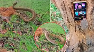 Viral: 12 ఏళ్ల బాలుడికి శ్వాస తీసుకోవడంలో ఇబ్బంది.. ఆస్పత్రిలో CT స్కాన్ తీసిన వైద్యులు షాక్