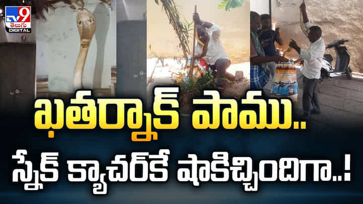 ఖతర్నాక్ పాము.. స్నేక్ క్యాచర్కే షాకిచ్చిందిగా ఖతర్నాక్ పాము.. స్నేక్ క్యాచర్కే షాకిచ్చిందిగా