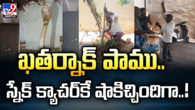 ఖతర్నాక్ పాము.. స్నేక్ క్యాచర్కే షాకిచ్చిందిగా ఖతర్నాక్ పాము.. స్నేక్ క్యాచర్కే షాకిచ్చిందిగా