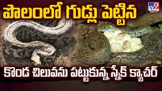 వామ్మో.. మన దగ్గర రూ. 50 పలికే బ్యాగ్‌.. లగ్జరీ వెబ్‌సైట్‌లో రూ. 4,000 !