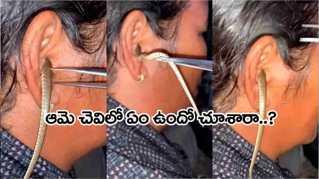 Snake Video: బాబోయ్.. మహిళ చెవిలోకి దూరిన పాము! బయటకు రానంటూ మొరాయింపు.. వీడియో చూశారా?
