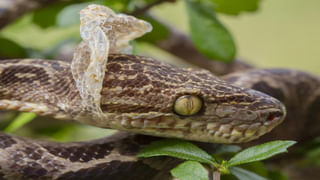 White House : “వైట్‌ హౌస్‌ చూసొద్దాం రండి”.. అయ్ బాబోయ్ ఇది స్వర్గమేమో కాదా ఇది..