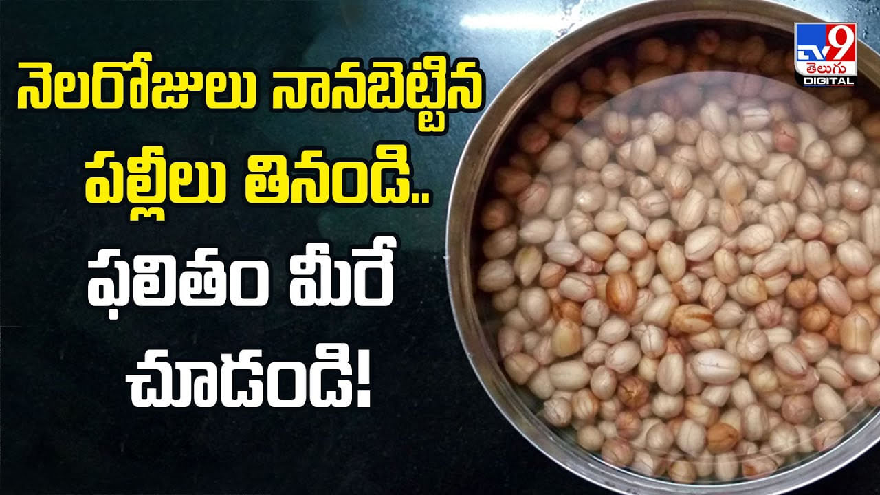 నెలరోజులు నానబెట్టిన పల్లీలు తినండి..ఫలితం మీరే చూడండి!