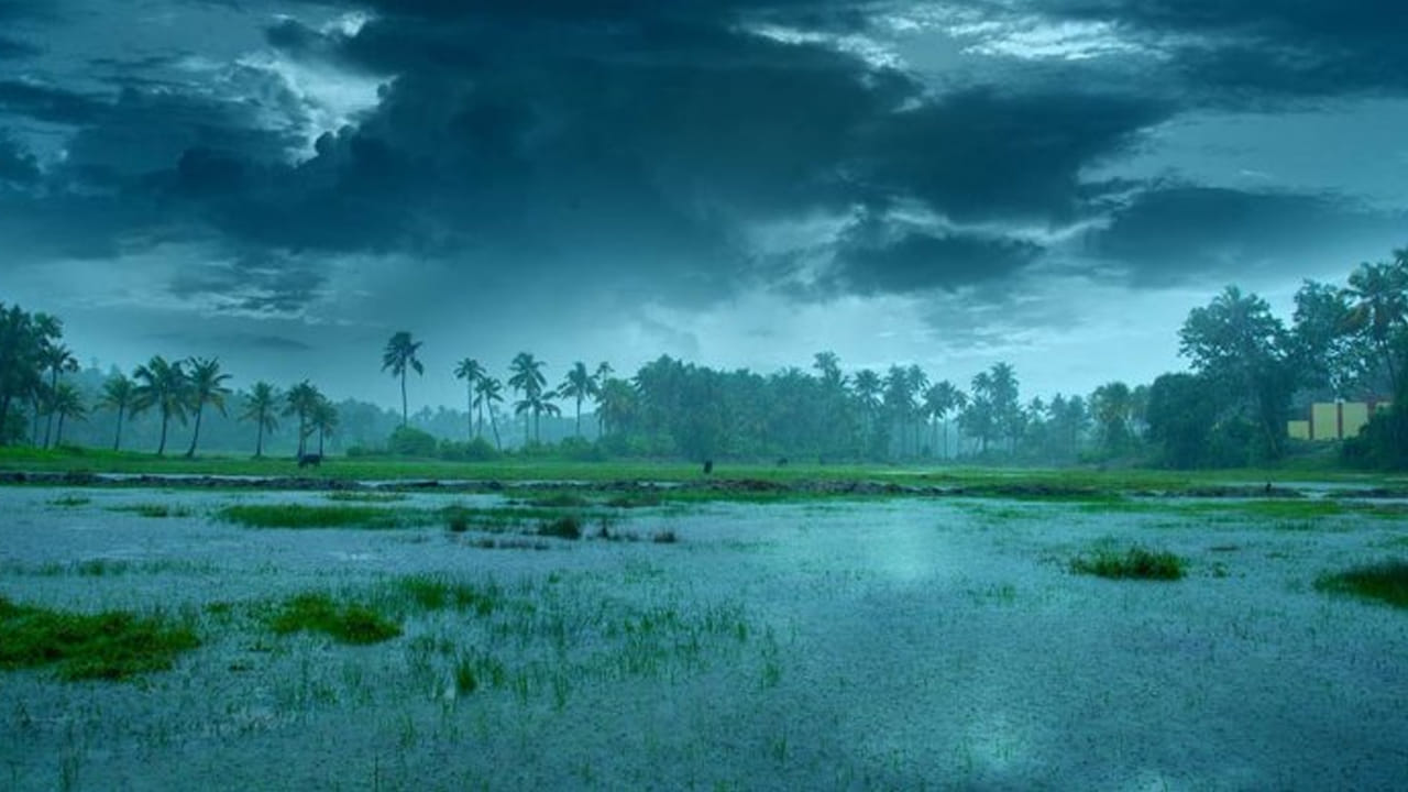 Southwest Monsoon: వచ్చిందమ్మా నైరుతి.. తెలుగు రాష్ట్రాలను తాకిన రుతుపవనాలు