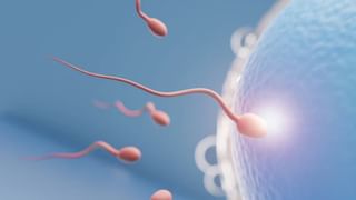 Eat Healthy: గుండెకు బలం, మధుమేహానికి చెక్.. ఈ గింజలు తింటే అద్భుత ప్రయోజనాలెన్నో..