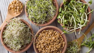 Kitchen Hacks: పచ్చళ్ళ సీజన్ కదా వెల్లుల్లి రెమ్మల తొక్కలు తీయడానికి కష్టపడుతున్నారా .. ఈ సింపుల్ టిప్స్ ట్రై చేయండి..